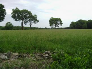 New England landscape with an old stone wall in the foreground