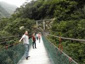 Looking artsy on the bridge